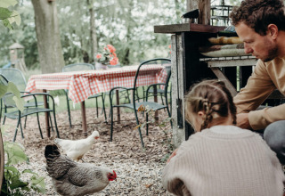 Un homme et une enfant nourrissent des poules près d'une table à carreaux dans un parc de vacances boisé.