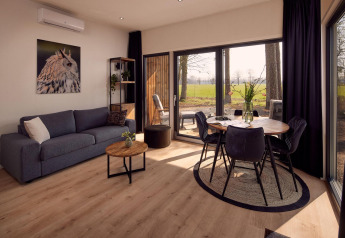 Moderne leefruimte in Holiday villa Amalia 2 bij Hofparken Wiltershaar, Nederland, met grote ramen naar de natuur.