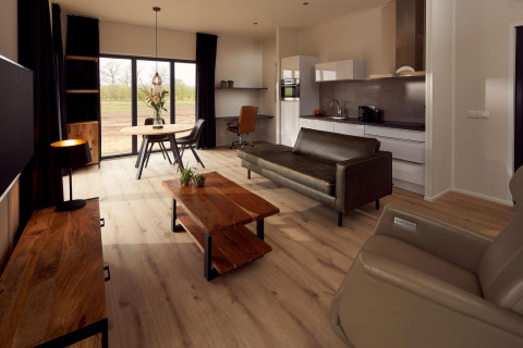Wheelchair-friendly Holiday Villa Amalia 2 at Hofparken Wiltershaar, modern living room in nature.