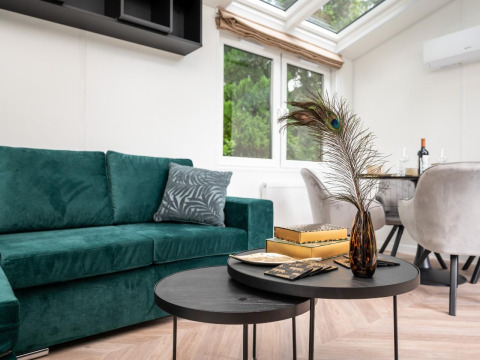Sala moderna en Cozy Chalet, Veluwepark de Bosgraaf, Países Bajos, con sofá verde y mesa negra.