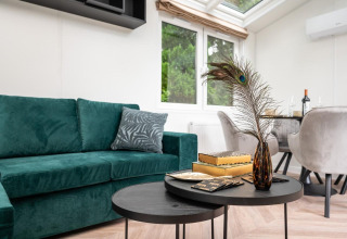 Moderne leefruimte in Cozy Chalet, Veluwepark de Bosgraaf, met groene zetel en zwarte tafel.