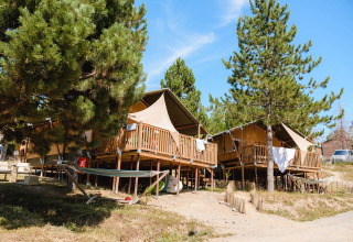 Tiendas tipo safari en Villatent Nomad, Camping La Presqu’île, Francia, rodeadas de pinos y hamacas.