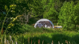 Et geodætisk Dome midt i frodig grøn skov og græs, fotograferet på en solrig dag med blå himmel.