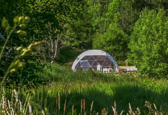 Et geodætisk Dome midt i frodig grøn skov og græs, fotograferet på en solrig dag med blå himmel.