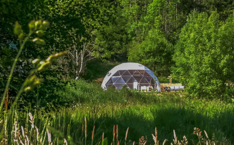 Et geodætisk Dome midt i frodig grøn skov og græs, fotograferet på en solrig dag med blå himmel.