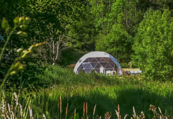 Una cupola geodetica circondata da verde e alberi, fotografata in una giornata soleggiata nel bosco.