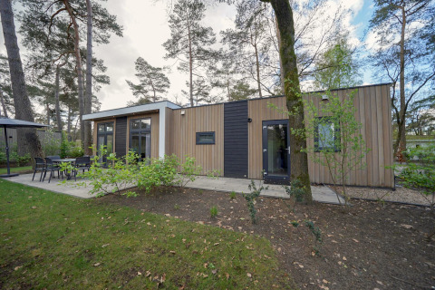 Cube la Mer lodge at De Zanding, Netherlands surrounded by pine trees, with outdoor seating and terrace.
