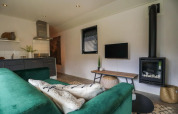 Moderne woonkamer in Wellness Lodge op De Zanding, Nederland met groene bank, open haard en tv.