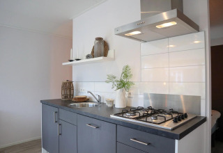Cocina moderna en Wellness Lodge de De Zanding, Países Bajos, con estufa a gas y decoración elegante.