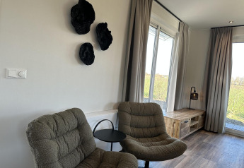 Coin salon moderne au Zonneweelde Lodge avec deux fauteuils rembourrés, déco murale noire et grandes fenêtres.