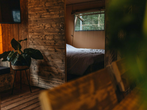 Indvendigt billede af en hyggelig safari telt lodge med trævægge, planter og et soveområde ved Beerze Bulten.