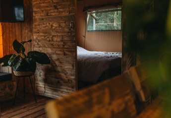 Interior acogedor de la tienda safari Vecht Glamping Lodge en Beerze Bulten, con paredes de madera, planta y cama.