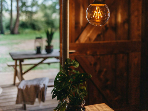 Indendørs udsigt fra Vecht Glamping Lodge med hængende pære, grøn plante og picnicbord udenfor.