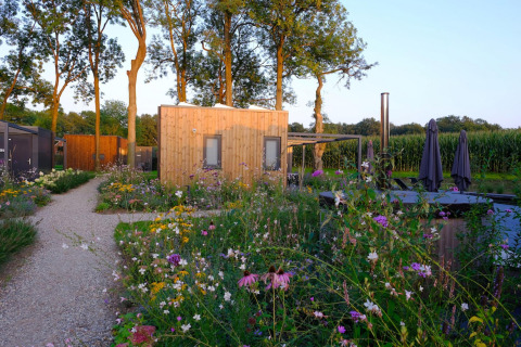A cozy wooden cabin at Amalia Familia in Hofparken Wiltershaar, Netherlands, surrounded by wildflowers and trees.