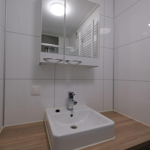 Modernes Waschbecken mit Spiegel und Holzfläche in der Amalia Familia Lodge im Hofparken Wiltershaar, Niederlande.