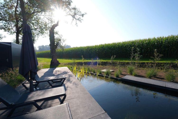 Außenbereich mit Liegestühlen neben einem modernen Teich, mit Blick auf ein grünes Feld im Sonnenschein, Amalia Familia.