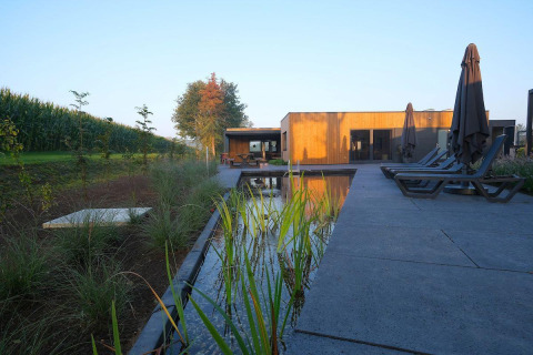 Terrace with sun loungers, natural swimming pool and modern lodge at Amalia Familia in Hofparken Wiltershaar, NL.