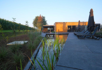Terras met ligstoelen, natuurzwembad en moderne lodge bij Amalia Familia in Hofparken Wiltershaar, Nederland.
