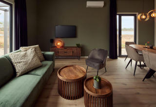 Gezellige woonkamer van Holiday villa Amalia 6 in Hofparken De Bergvennen, Nederland, met eigentijds interieur.