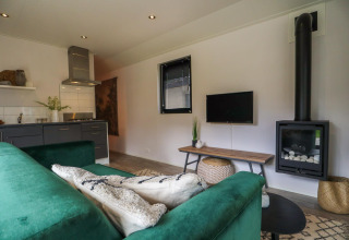 Sala de estar en Wellness Lodge en De Hooge Veluwe, Países Bajos, con chimenea, sofá verde y TV.