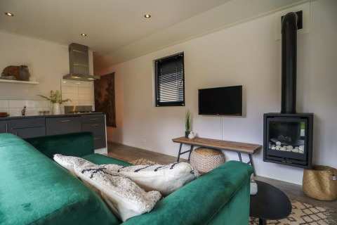 Living room in Wellness Lodge at De Hooge Veluwe, Netherlands, featuring fireplace, green sofa, and TV.