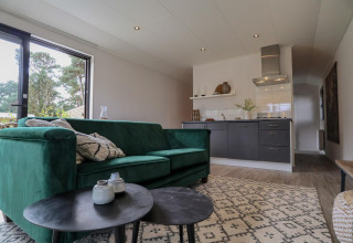 Sala y cocina modernas en la Wellness Lodge de De Hooge Veluwe, Países Bajos, con sofá verde y ventana grande.
