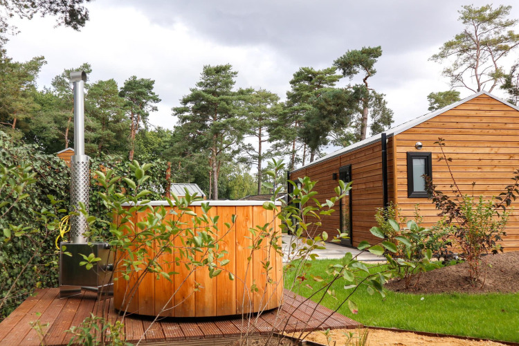 Wellness Lodge en De Hooge Veluwe, Países Bajos, con bañera de hidromasaje exterior y cabaña moderna entre pinos.