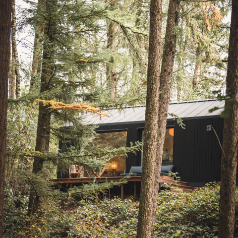 Koya Tiny Cabin lodge bij Wilsumer Berge in Duitsland, omringd door bosrijke natuur en hoge bomen.