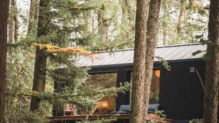 Cabane Koya Tiny Cabin à Wilsumer Berge en Allemagne, entourée de hauts arbres et forêt verdoyante.