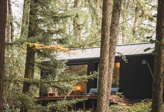 Koya Tiny Cabin lodge bij Wilsumer Berge in Duitsland, omringd door bosrijke natuur en hoge bomen.