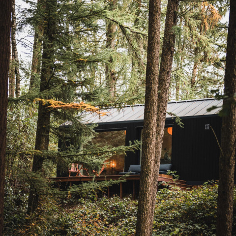 Koya Tiny Cabin a Wilsumer Berge, Germania, immersa tra alberi alti e il verde della foresta circostante.