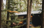 Koya Tiny Cabin en Wilsumer Berge, Alemania, rodeada de altos árboles y vegetación de bosque.