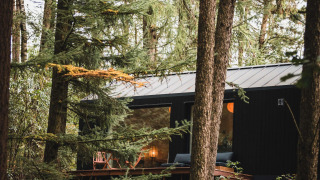 Koya Tiny Cabin lodge bij Wilsumer Berge in Duitsland, verscholen tussen hoge bomen in het bos.