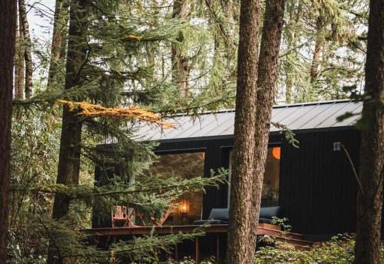 Sort Koya Tiny Cabin i skoven ved Wilsumer Berge i Tyskland, omgivet af tætte grønne træer.