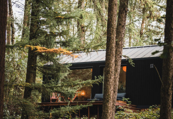 Sort Koya Tiny Cabin i skoven ved Wilsumer Berge i Tyskland, omgivet af tætte grønne træer.