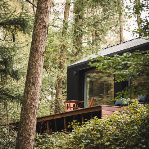 Koya Tiny Cabin aan Wilsumer Berge in Duitsland, omgeven door groen bos en houten terras.