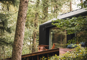 Koya Tiny Cabin à Wilsumer Berge en Allemagne, entourée de forêt verdoyante et terrasse en bois.