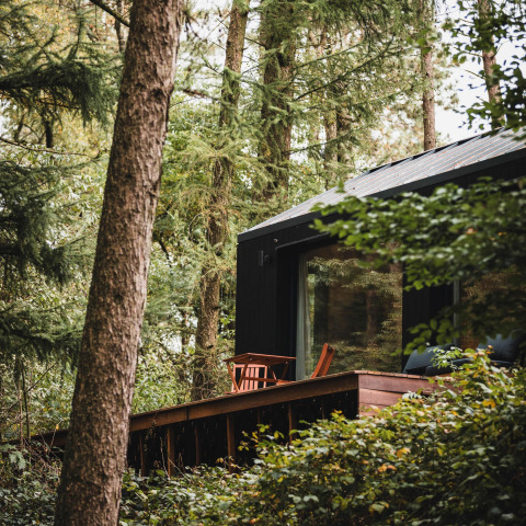 Koya Tiny Cabin aan Wilsumer Berge in Duitsland, omgeven door groen bos en houten terras.