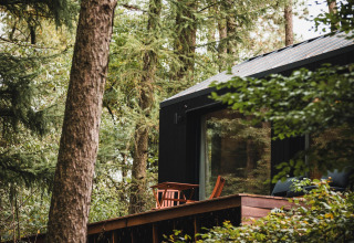Koya Tiny Cabin aan Wilsumer Berge in Duitsland, omgeven door groen bos en houten terras.