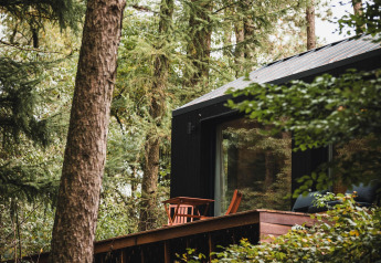 Koya Tiny Cabin am Wilsumer Berge in Deutschland, eingebettet in dichten Wald, mit Holzterrasse.