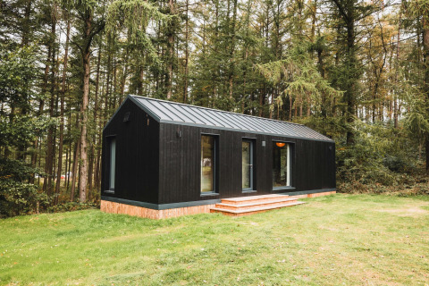 Cabaña de madera negra llamada Koya Tiny Cabin en el bosque de Wilsumer Berge, Alemania, con césped verde.