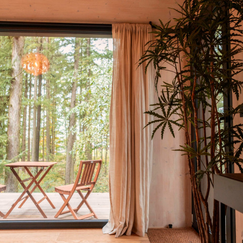 Binnenzicht van Koya Tiny Cabin met zicht op het bos en terrasmeubilair bij Wilsumer Berge, Duitsland.