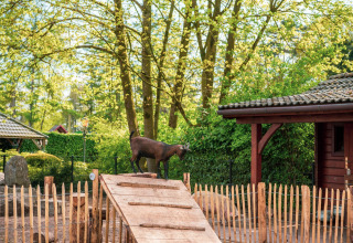 Una cabra sobre una rampa de madera en un recinto vallado de glamping, rodeado de árboles y cabañas.