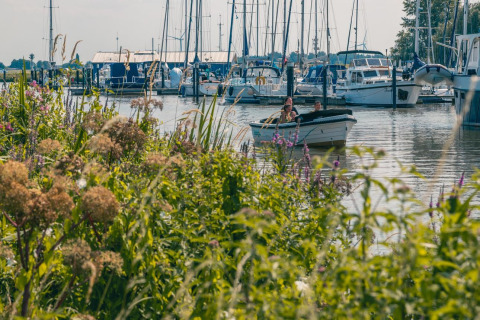 Barca sull'acqua vicino a L-Pavilion 6 a De Biesbosch, Paesi Bassi, con fiori e barche sullo sfondo.
