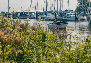 Barca sull'acqua vicino a L-Pavilion 6 a De Biesbosch, Paesi Bassi, con fiori e barche sullo sfondo.