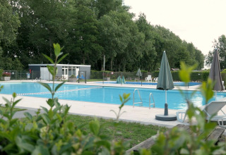 Outdoor swimming pool at L-Pavilion 6 in De Biesbosch, Netherlands, with deck chairs and green trees nearby.