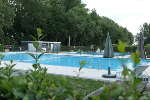 Piscina exterior en L-Pavilion 6 en De Biesbosch, Países Bajos, rodeada de árboles y tumbonas blancas.