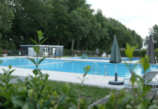 Piscina exterior en L-Pavilion 6 en De Biesbosch, Países Bajos, rodeada de árboles y tumbonas blancas.