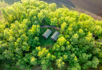 Aerial view of safari tents nestled in green woodland at Wilsumer Berge, Germany, near cultivated fields.