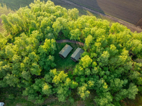 Vue aérienne de tentes safari entourées de forêt à Wilsumer Berge, Allemagne, près de champs cultivés.